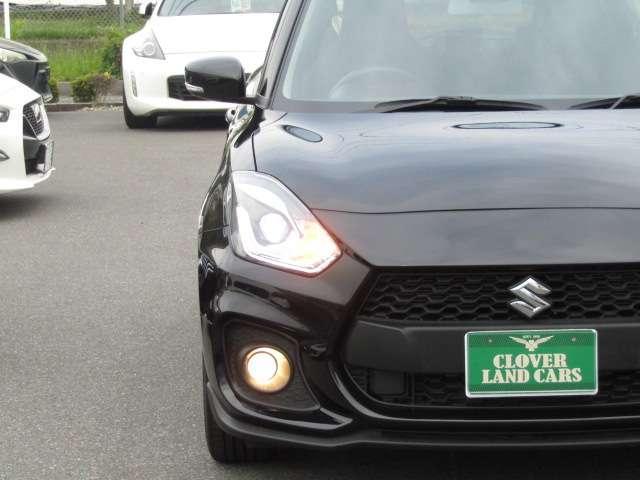 24075749_carP_l_3.jpg