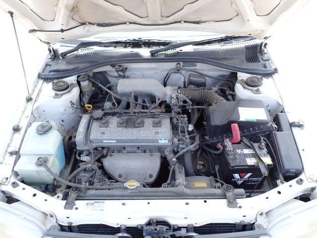 26064430_carP_l_17.jpg