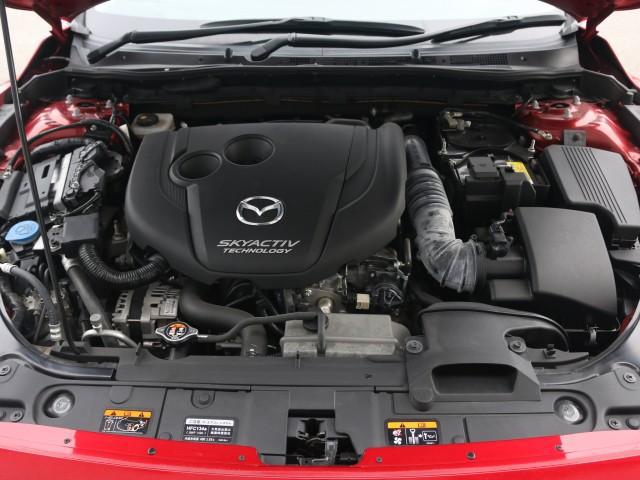 23286950_carP_l_17.jpg