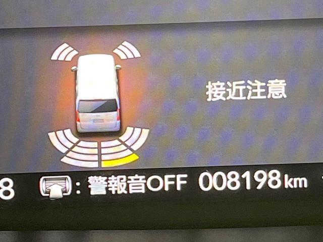 24199201_carP_l_20.jpg