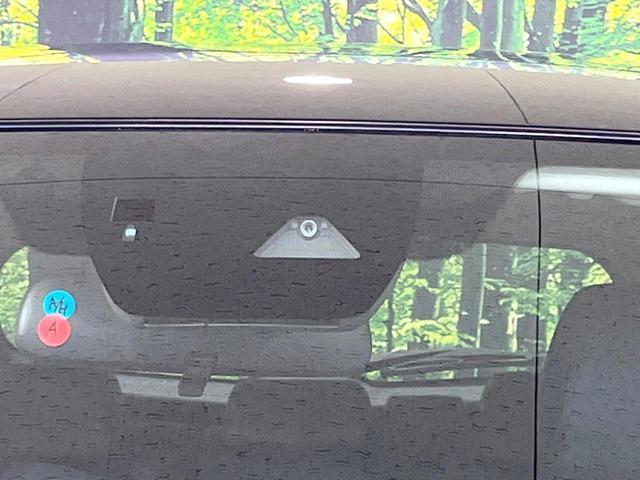 24561892_carP_l_15.jpg