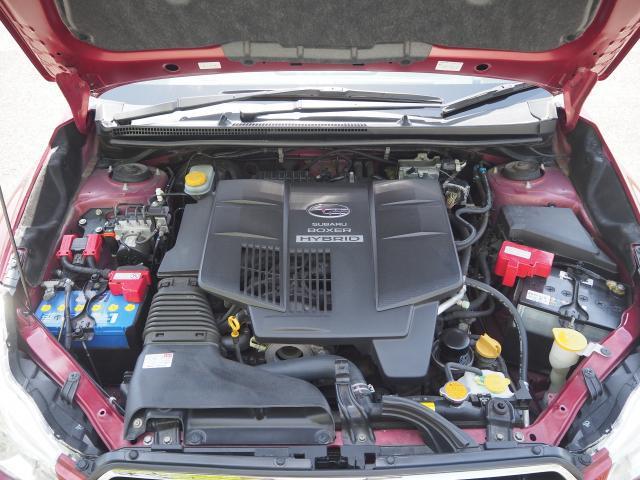 23589426_carP_l_12.jpg