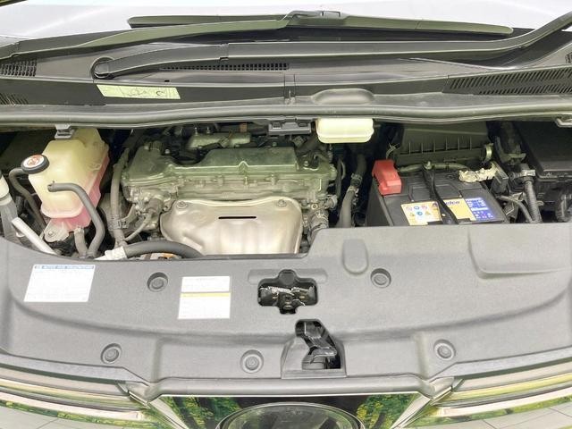 26209826_carP_l_18.jpg