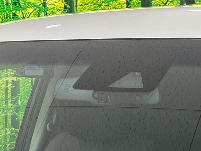 26043685_carP_l_15.jpg