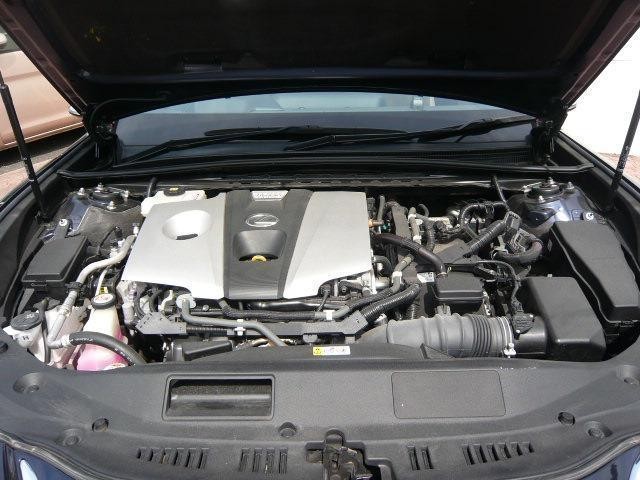 24720682_carP_l_5.jpg