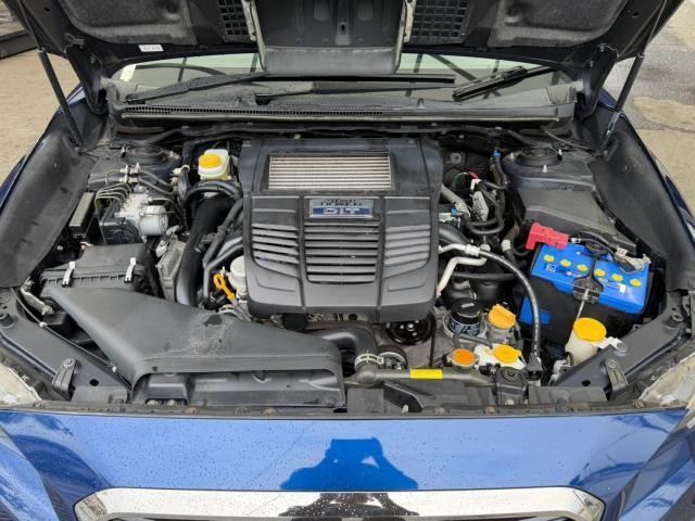 26229121_carP_l_17.jpg