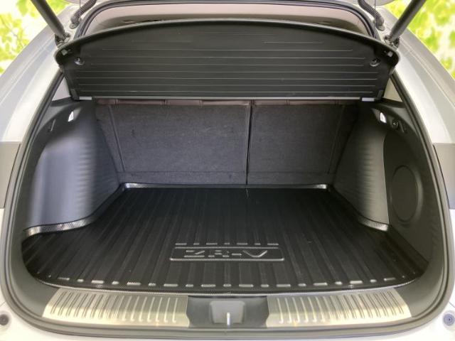 22340038_carP_l_17.jpg