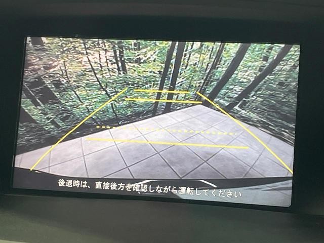 25014863_carP_l_4.jpg