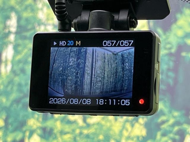 25714411_carP_l_17.jpg