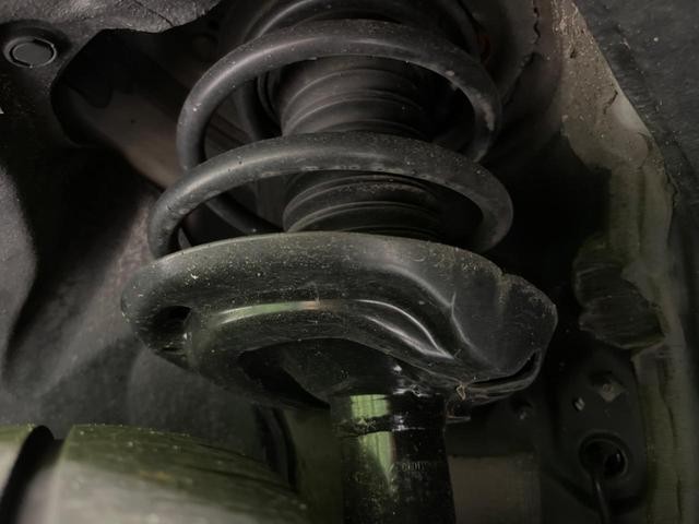25487059_carP_l_20.jpg
