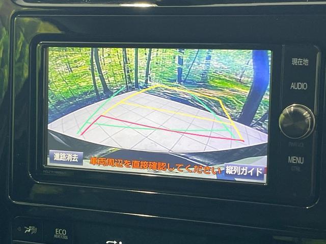 24521538_carP_l_4.jpg