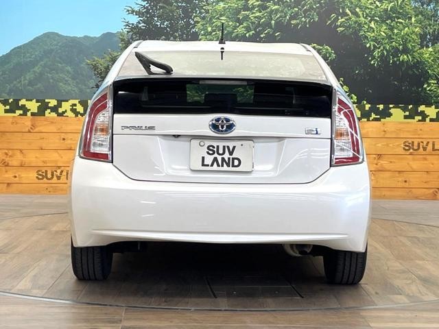 25611936_carP_l_9.jpg