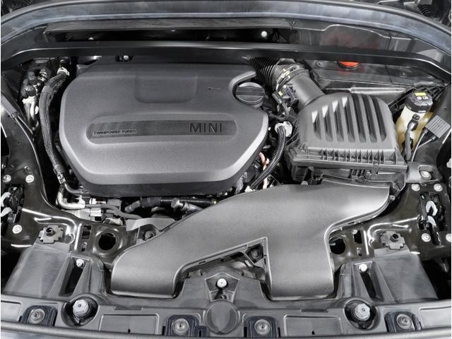 25216117_carP_l_14.jpg