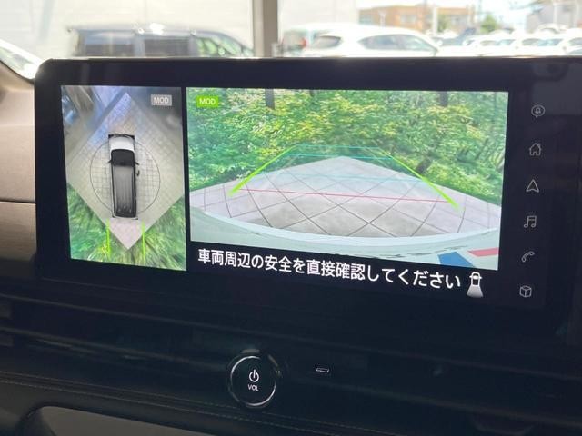25303742_carP_l_4.jpg