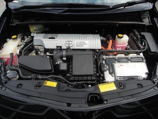 24886695_carP_l_12.jpg