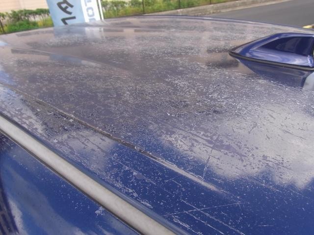 27093920_carP_l_10.jpg