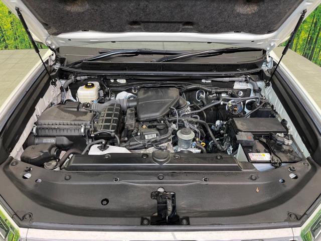 22600494_carP_l_16.jpg
