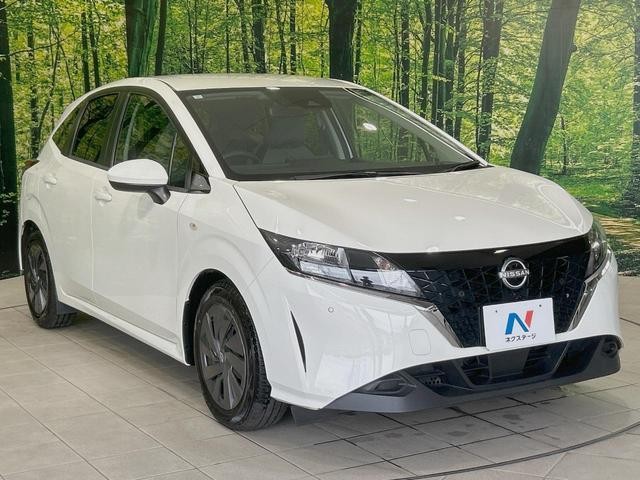 25158374_carP_l_11.jpg