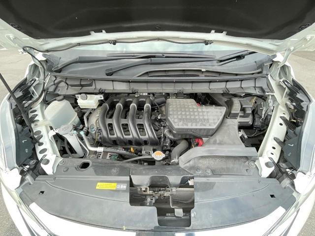 24768105_carP_l_20.jpg