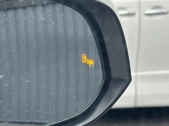 23300848_carP_l_4.jpg