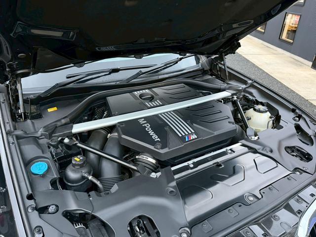 24111129_carP_l_20.jpg