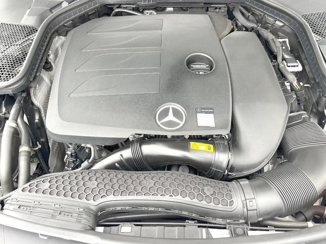 24849118_carP_l_18.jpg
