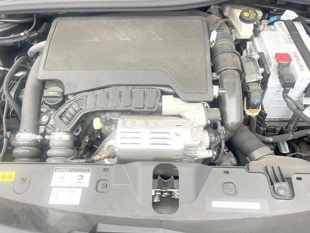 24932207_carP_l_18.jpg