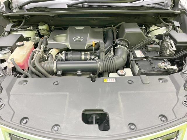 25963005_carP_l_16.jpg