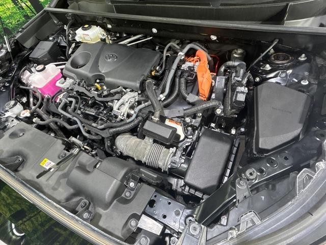 24726425_carP_l_20.jpg