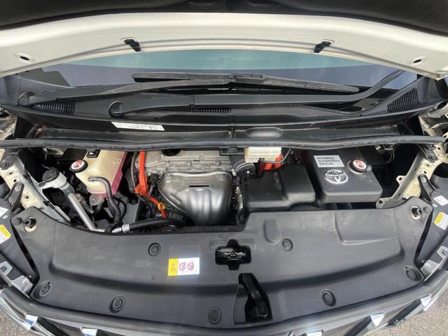 24461551_carP_l_20.jpg