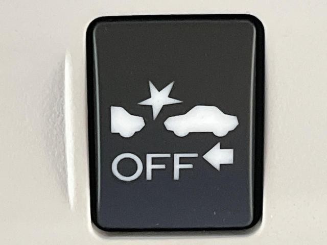26168599_carP_l_10.jpg