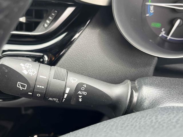 24596783_carP_l_8.jpg