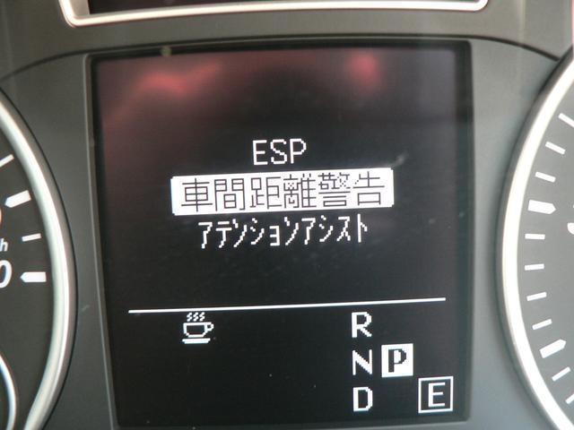 18872013_carP_l_20.jpg