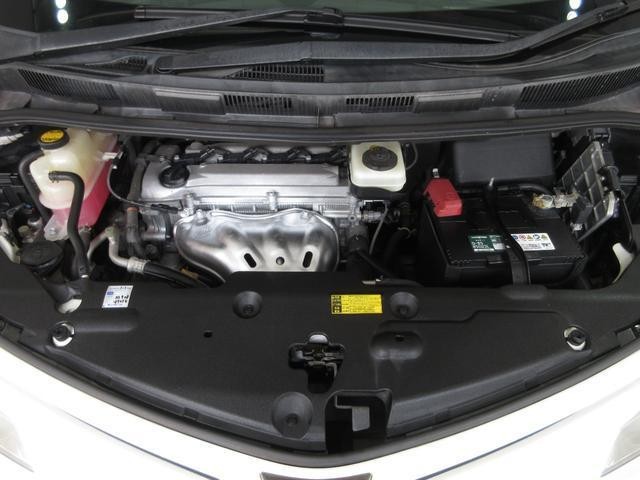25278457_carP_l_20.jpg