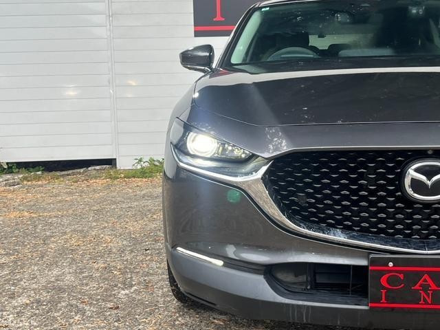25261988_carP_l_5.jpg