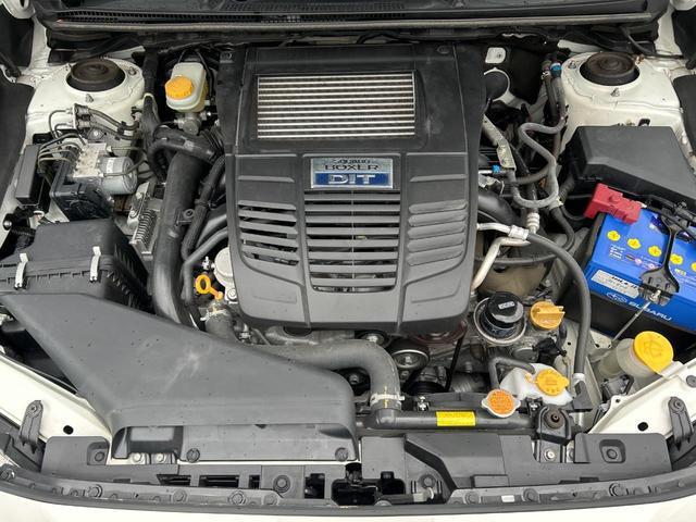 24089846_carP_l_16.jpg