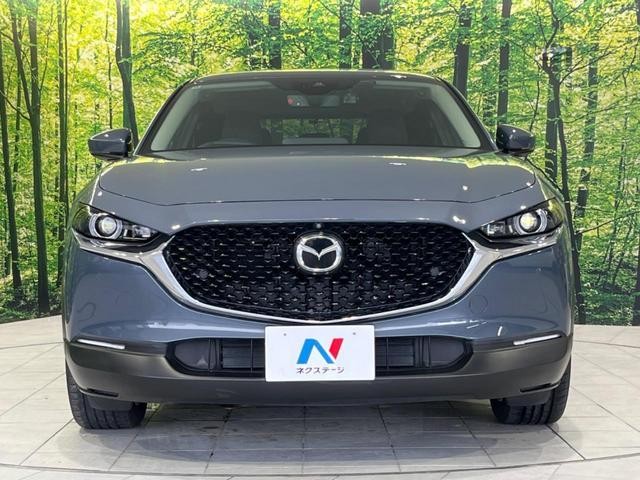 25714718_carP_l_8.jpg
