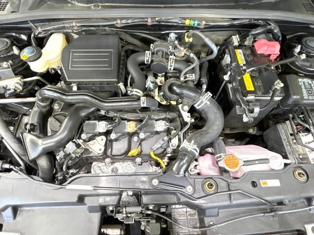 24625754_carP_l_16.jpg