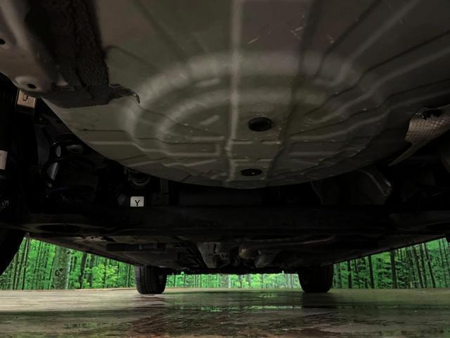23674929_carP_l_20.jpg