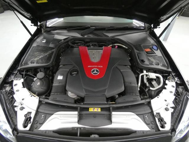 25923032_carP_l_20.jpg