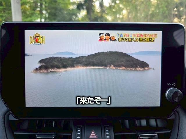 23334350_carP_l_6.jpg