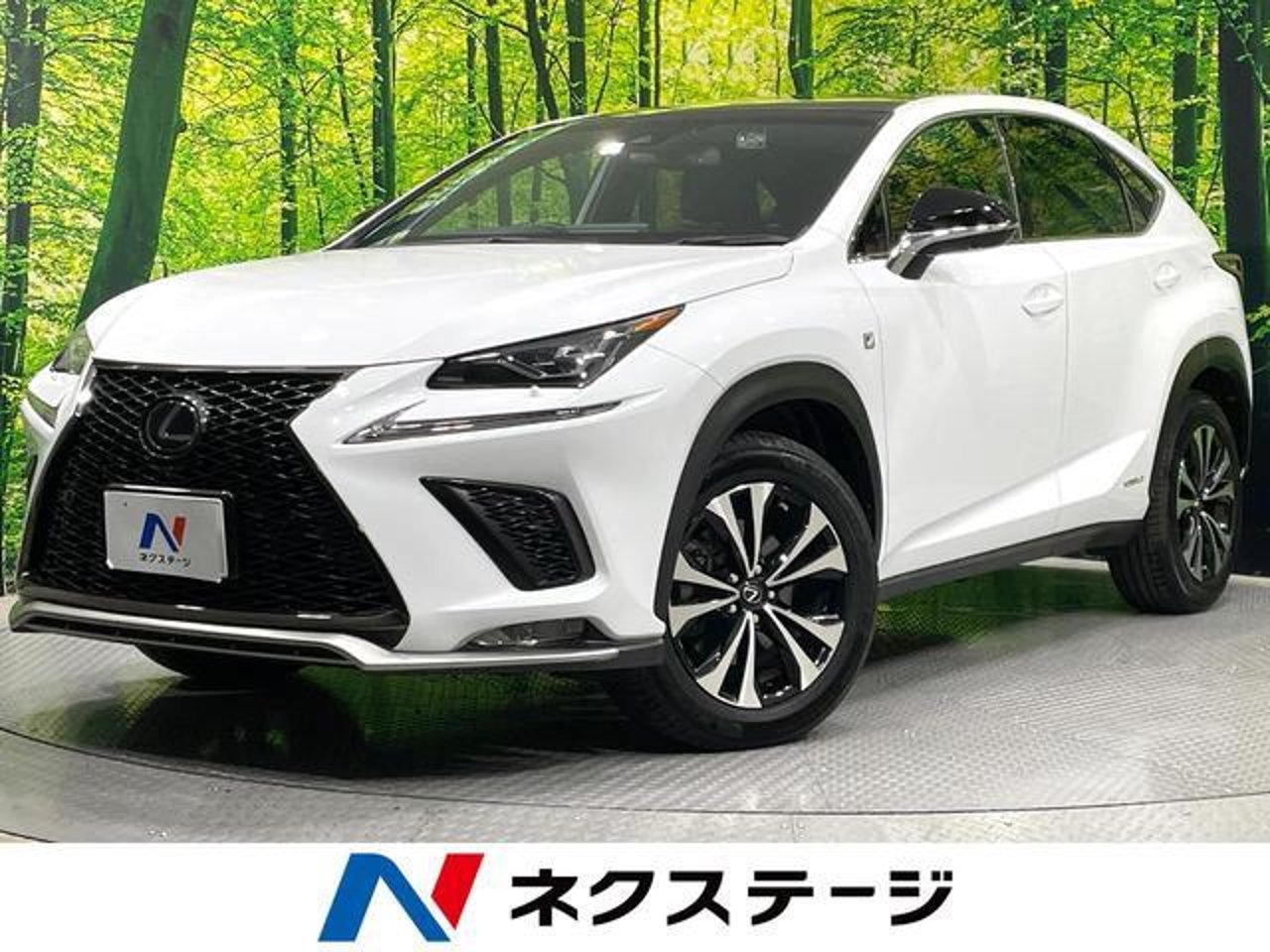 2019 Lexus Nx, photo 1 of 1