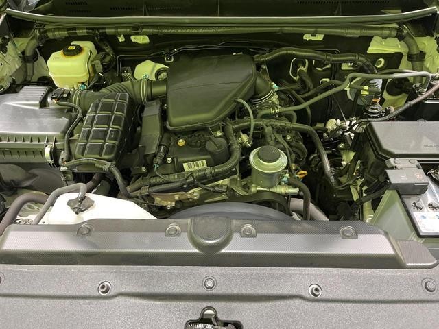 25323662_carP_l_18.jpg