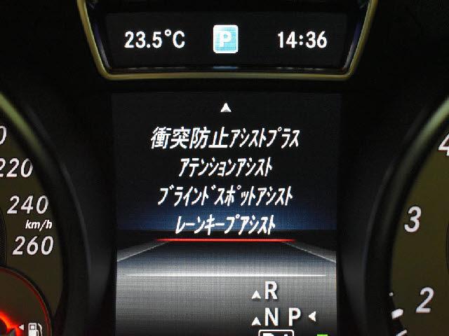 23934829_carP_l_14.jpg