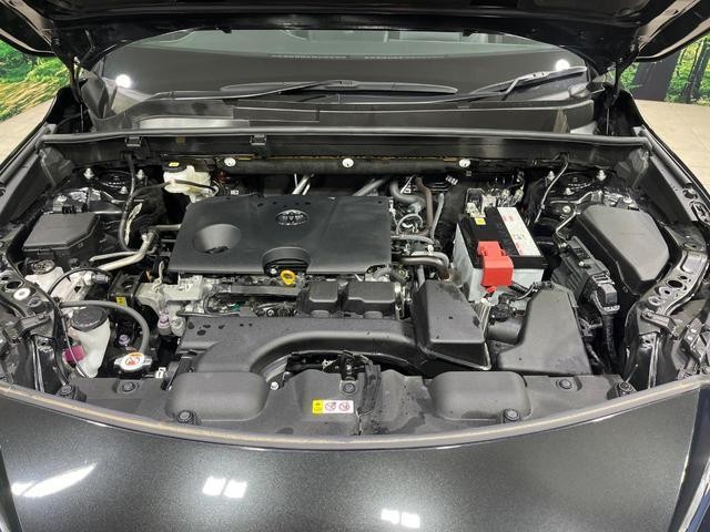 25035529_carP_l_16.jpg