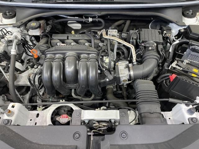 26491994_carP_l_16.jpg