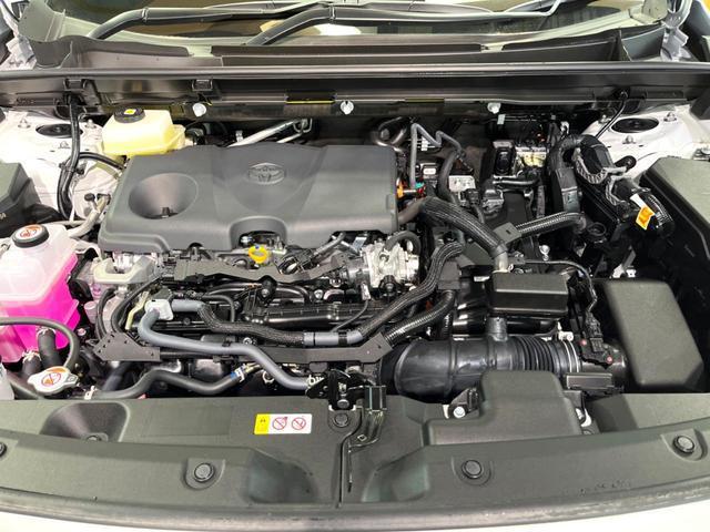 22758633_carP_l_18.jpg