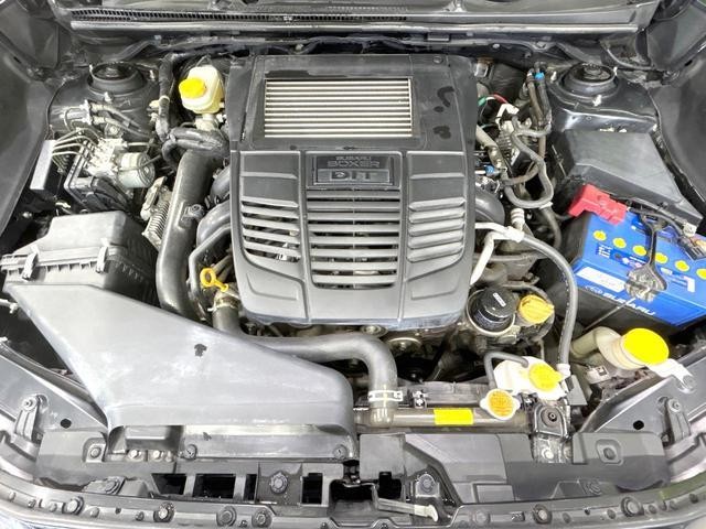 25487241_carP_l_16.jpg