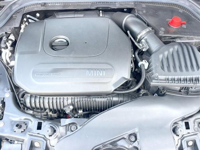 25075740_carP_l_18.jpg
