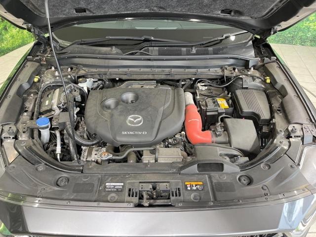 26989118_carP_l_18.jpg
